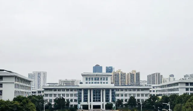技术项目成本控制中的常见问题与应对策略